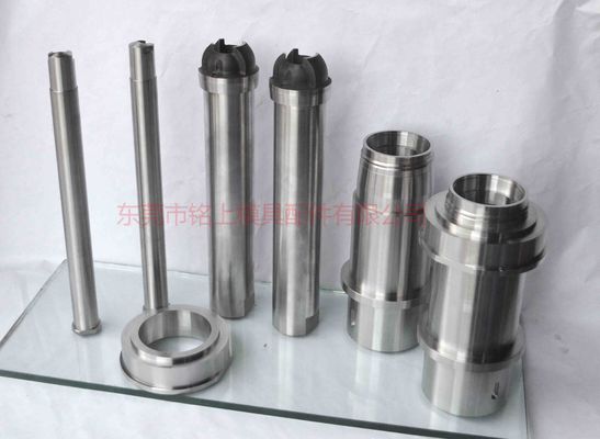 S136 أساسيات العفن المُنظّرة