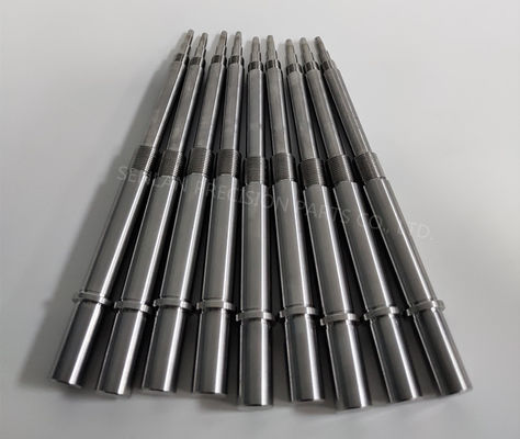 المسمار الرئيسي للفطر ومجموعات الأساس المتداخلة